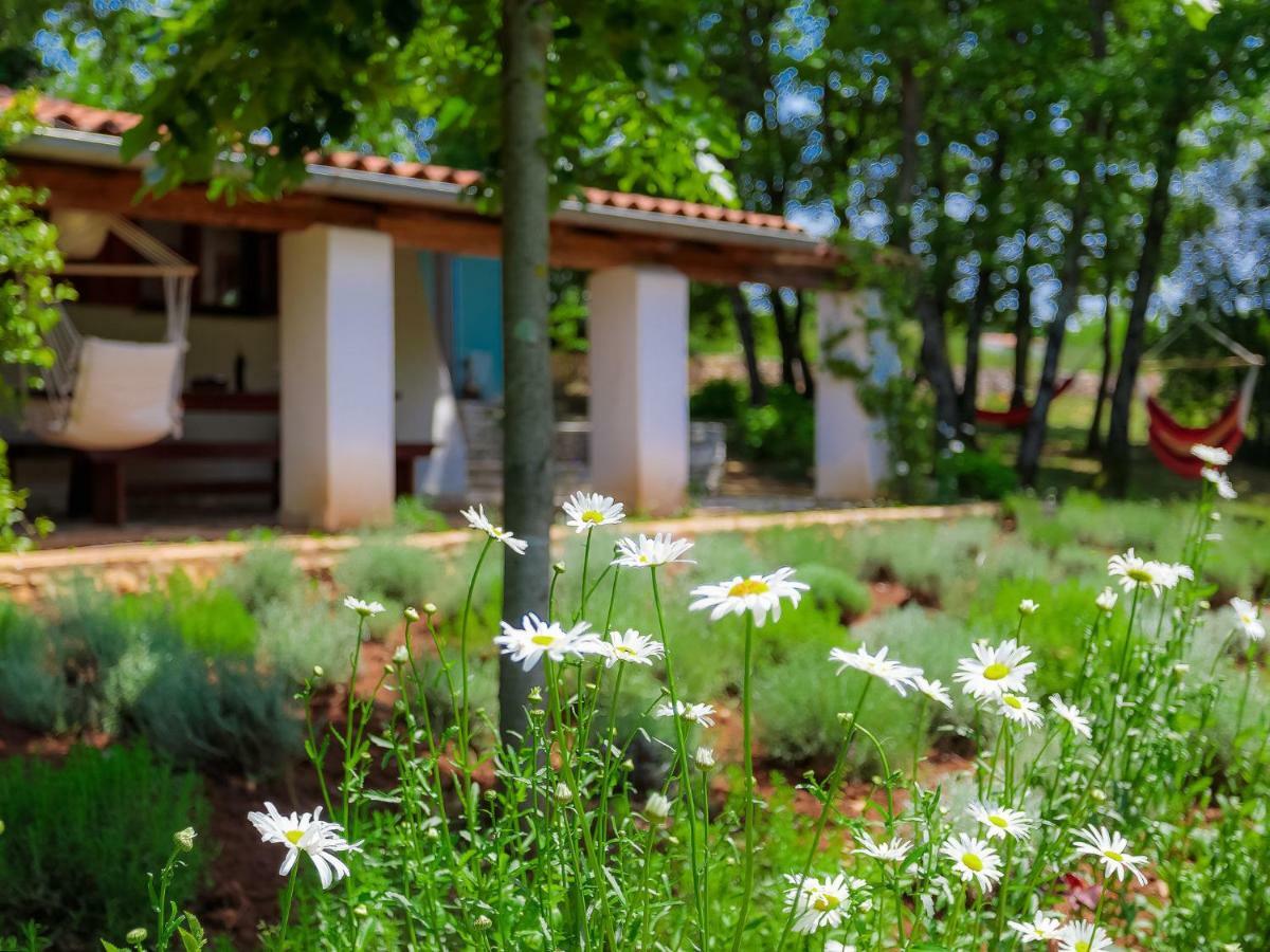 Holiday Home Country House D&D By Interhome Pula Luaran gambar